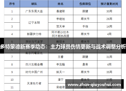 多特蒙德新赛季动态：主力球员伤情更新与战术调整分析